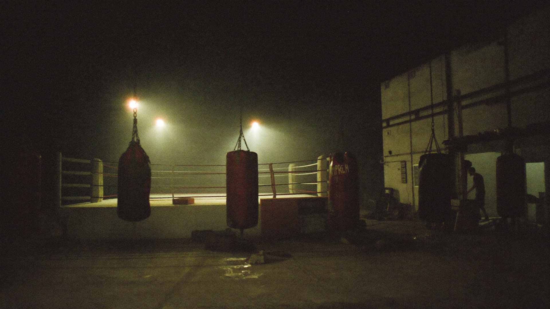 Wide view of the gym floor at night — heavy bags, ring, shafts of industrial light